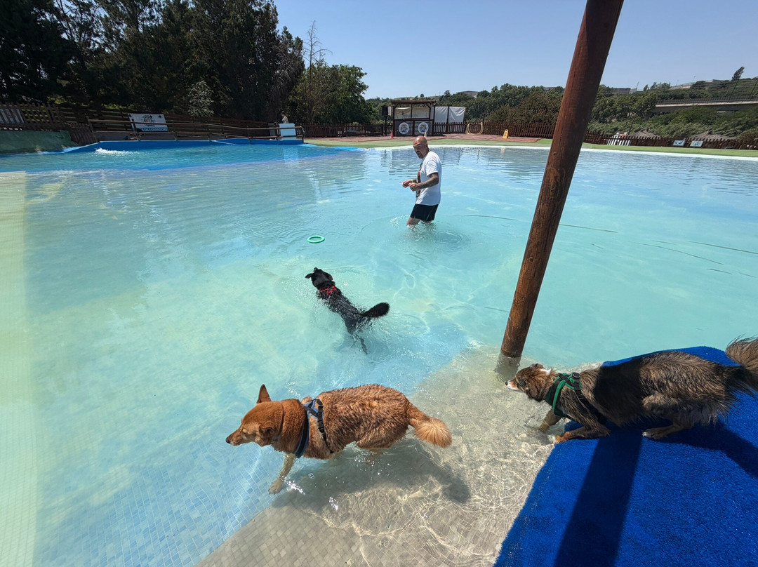 Aquapark Canino Perros Al Agua-拉罗卡德尔瓦列斯必去景点