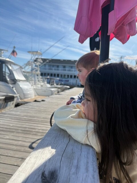 Fire Island Boatel