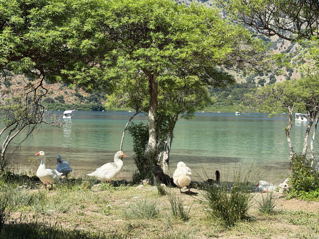 Lake Kournas-Kournas必去景点