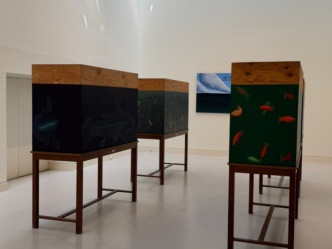 Musée d'Art Moderne et Contemporain-斯特拉斯堡必去景点