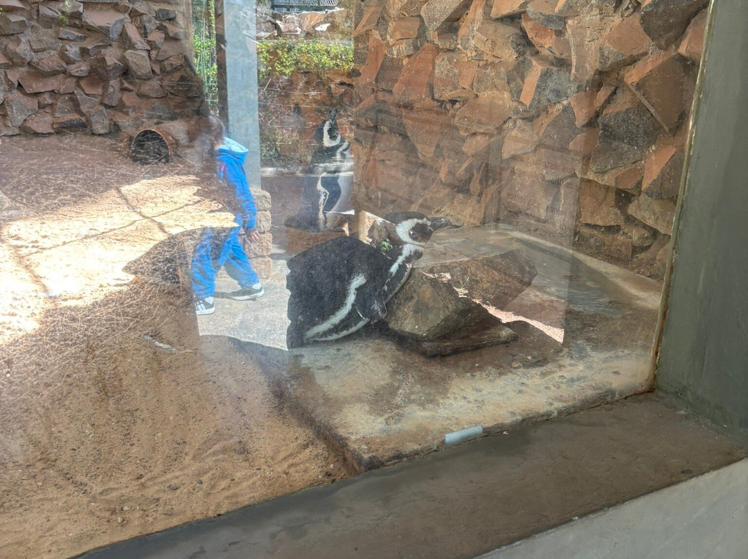 Parque Zoologico Municipal de Bauru-Bauru必去景点