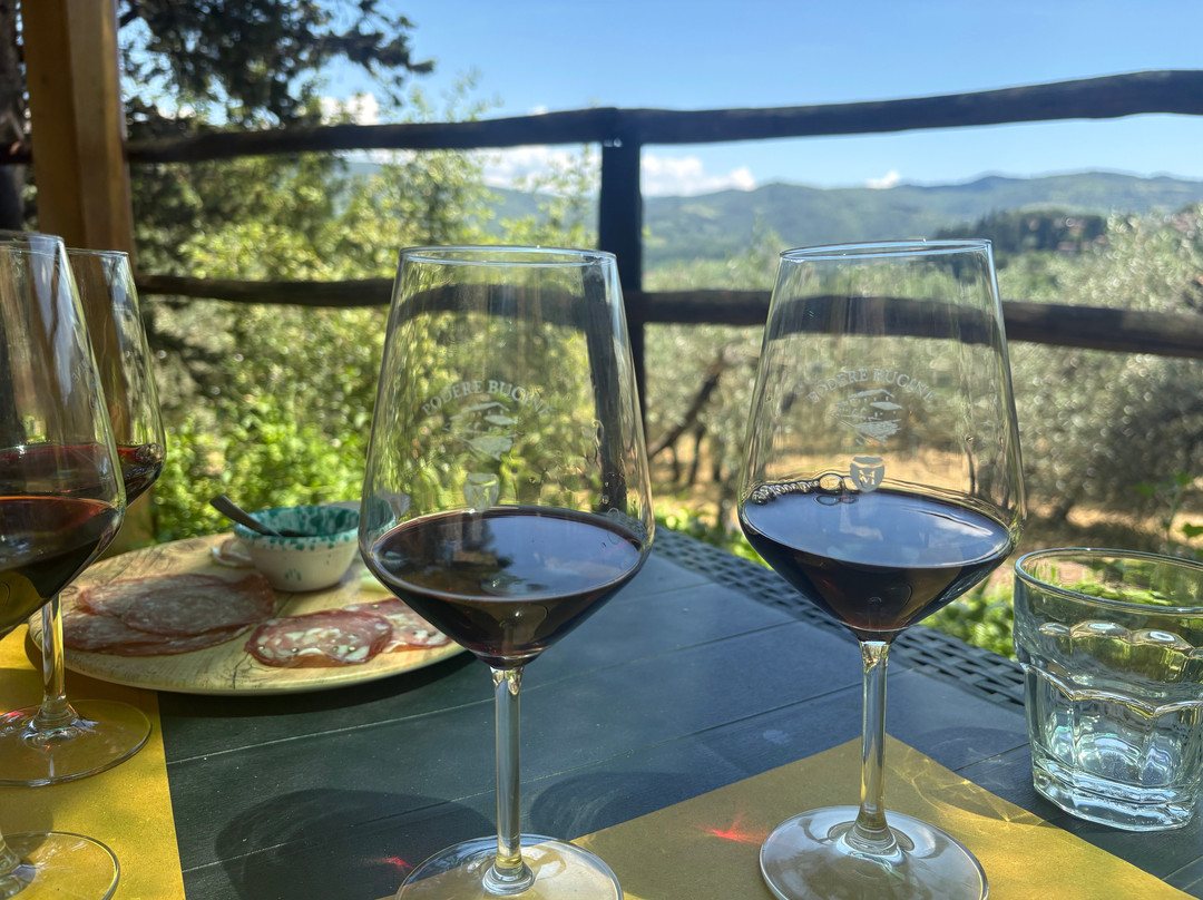 Podere Bucine Winery-格雷韦伊恩基亚恩蒂必去景点