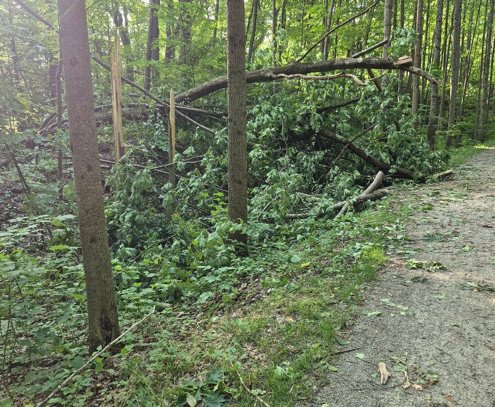 Ohiopyle State Park-Ohiopyle必去景点