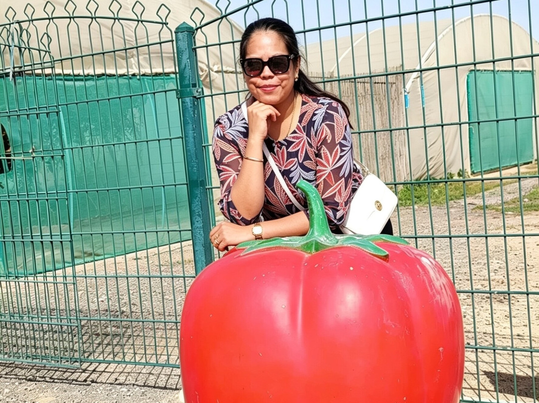 North Sedra Farm-Madinat Ash Shamal必去景点
