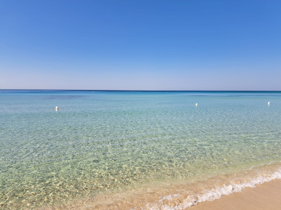 Samanà Beach-Punta Prosciutto必去景点