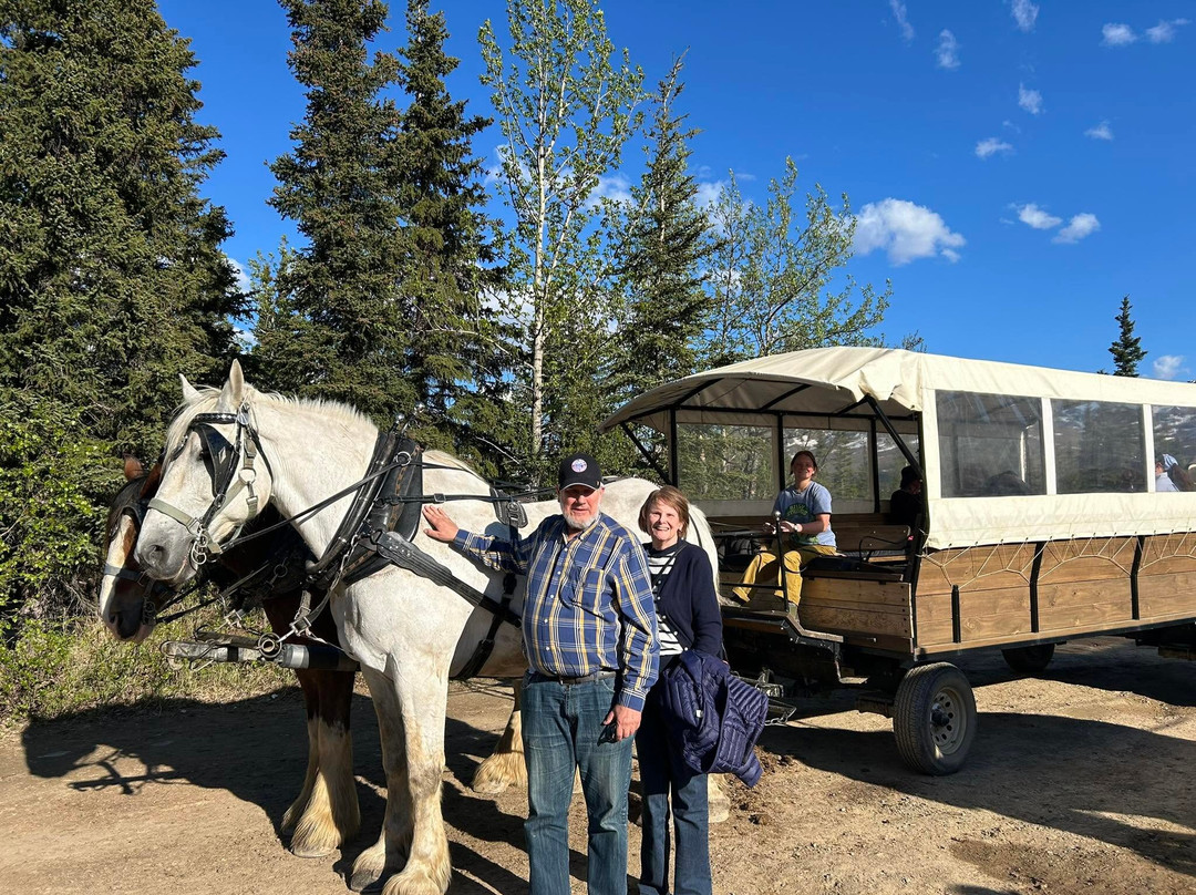 Denali Black Diamond Covered Wagon