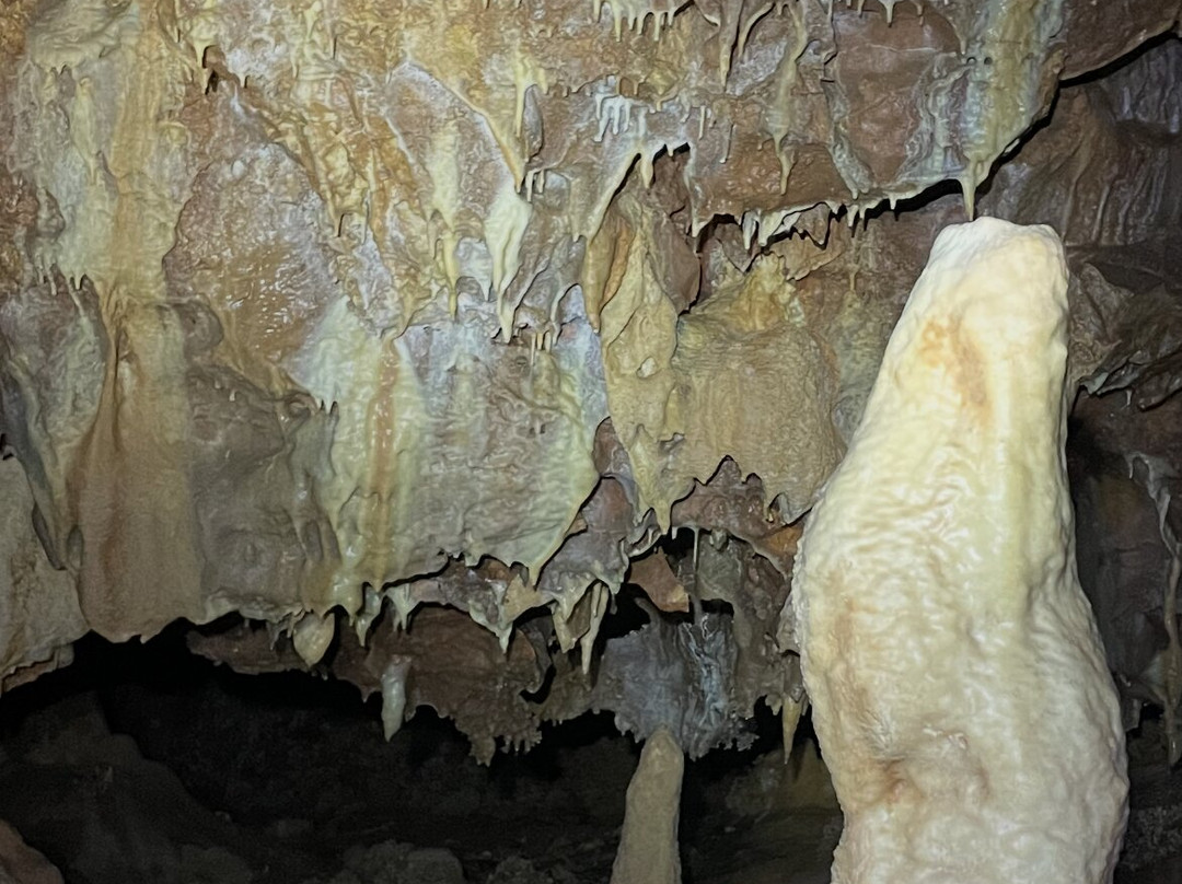 Aven Grotte Forestière-Orgnac-l'Aven必去景点
