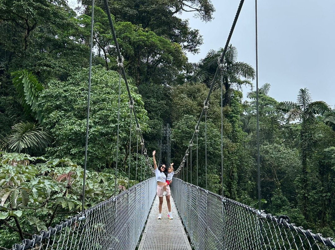 Puentes Colgantes del Arenal-圣卡洛斯必去景点
