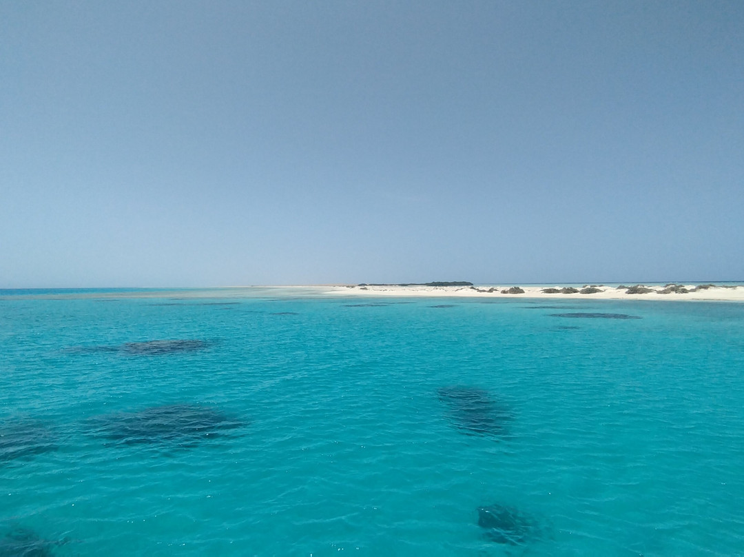 Wadi El Gemal National Park-马萨阿拉姆必去景点