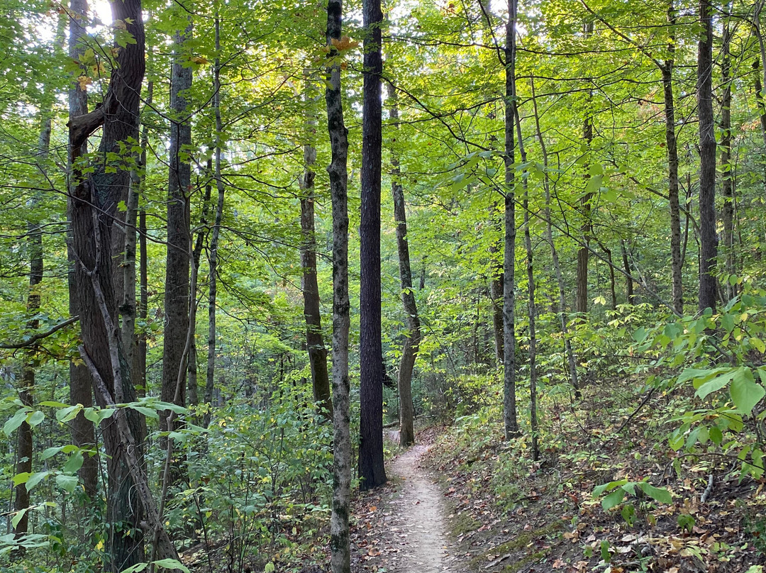 East Fork State Park-Bethel必去景点