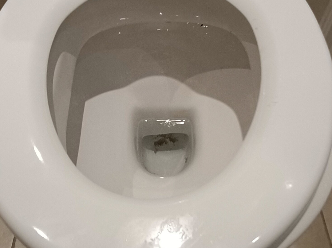 Alvaston Hall Hotel主图