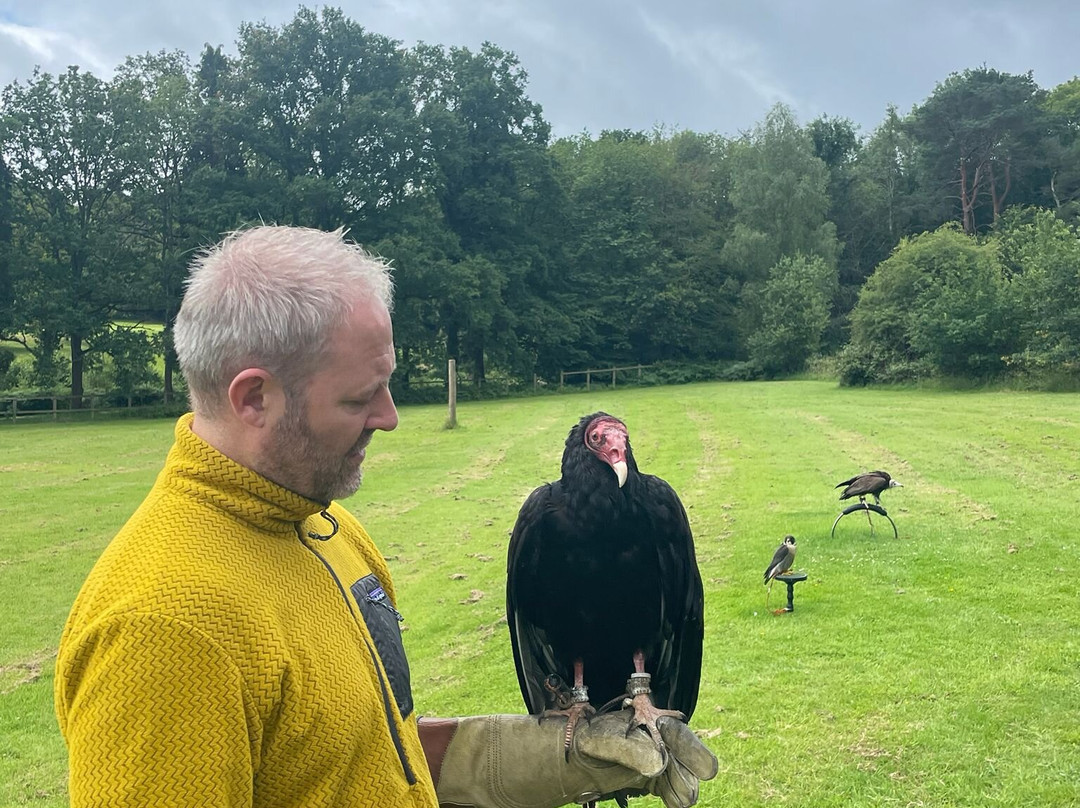 Surrey Hills Falconry-Ockley必去景点