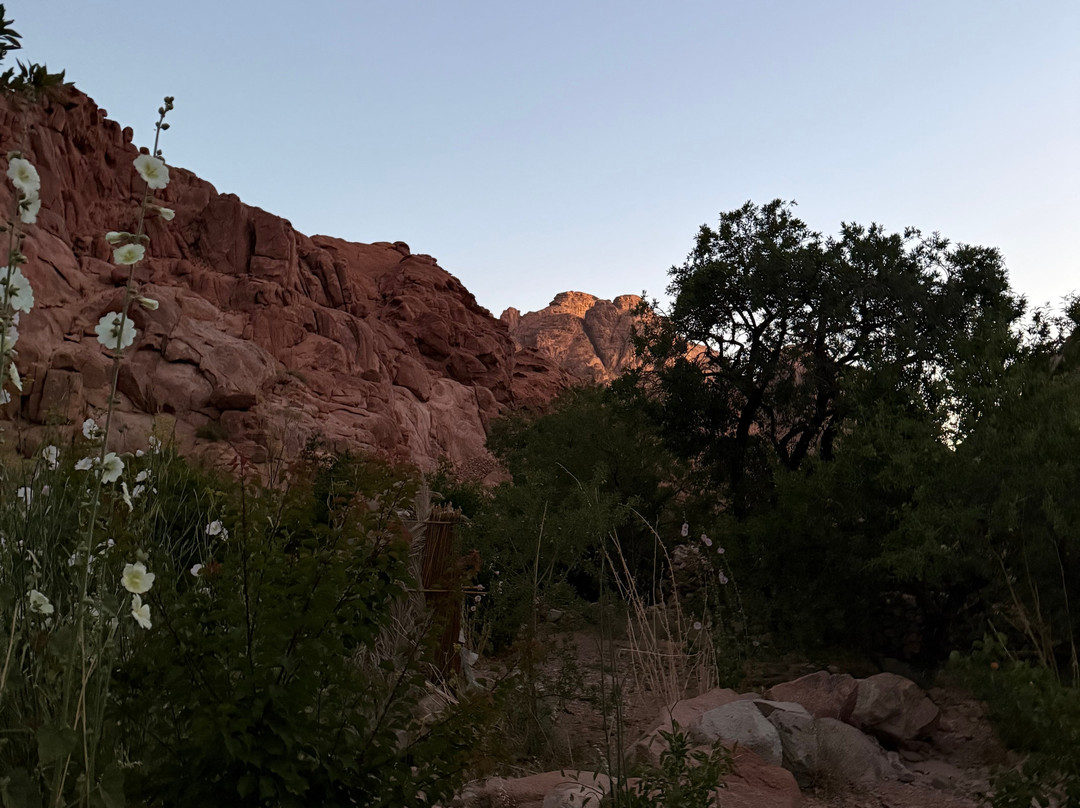 Sinai Hikes-圣卡特琳娜地区必去景点