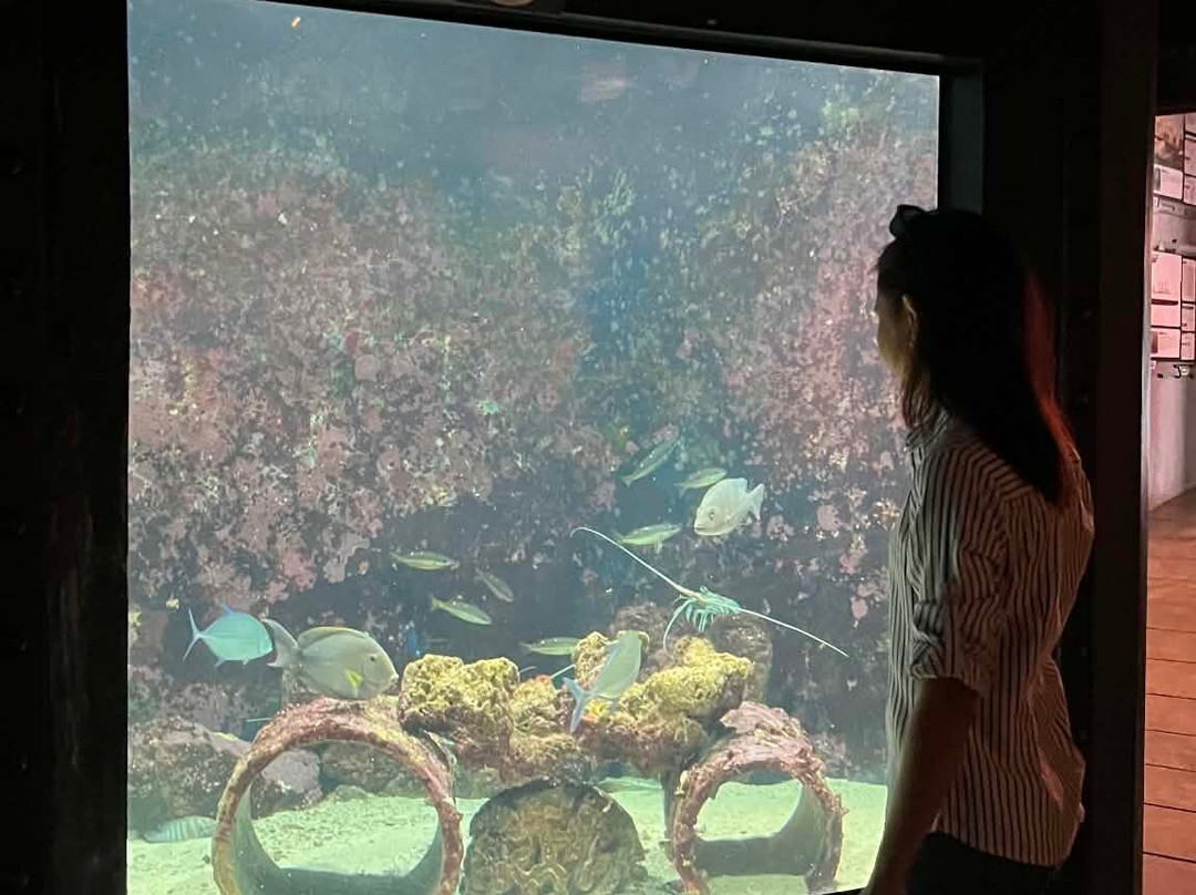 Ocean Adventure-苏比克湾自由贸易区必去景点