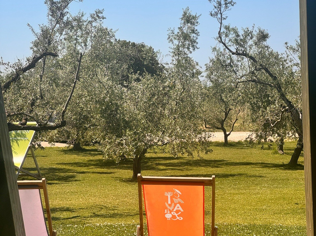 Chiavalon Organic Extra Virgin Olive Oil-沃德年必去景点