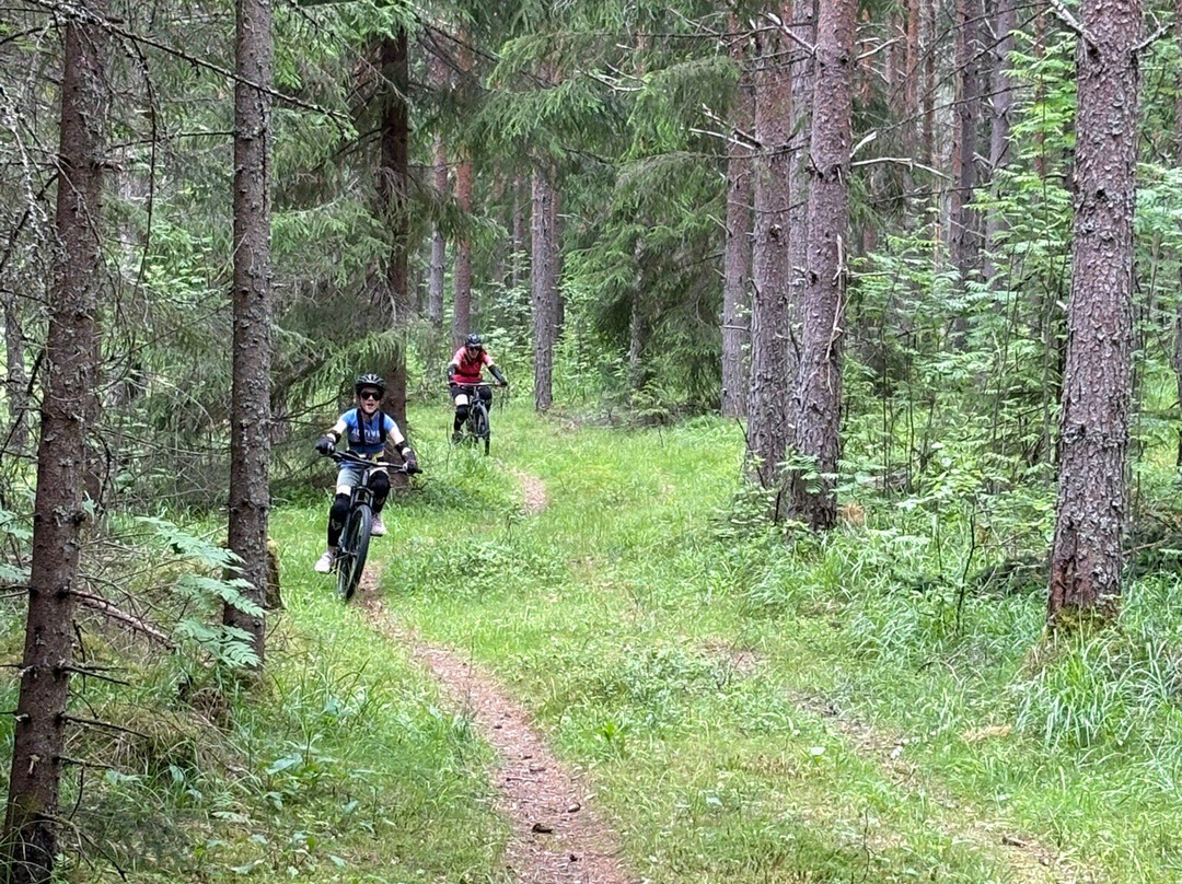 Kungsberget-Jarbo必去景点