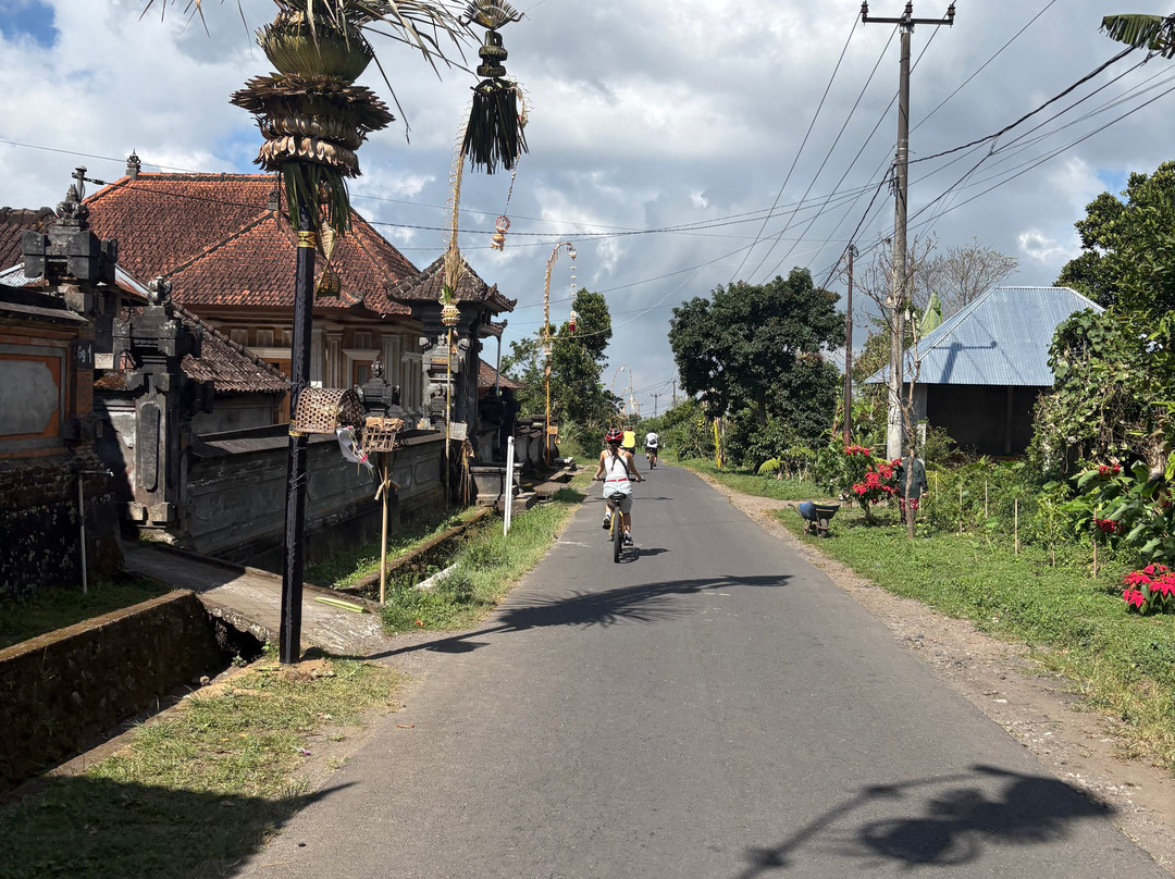 Bali Fun Bike Adventure-Pejeng Kaja必去景点