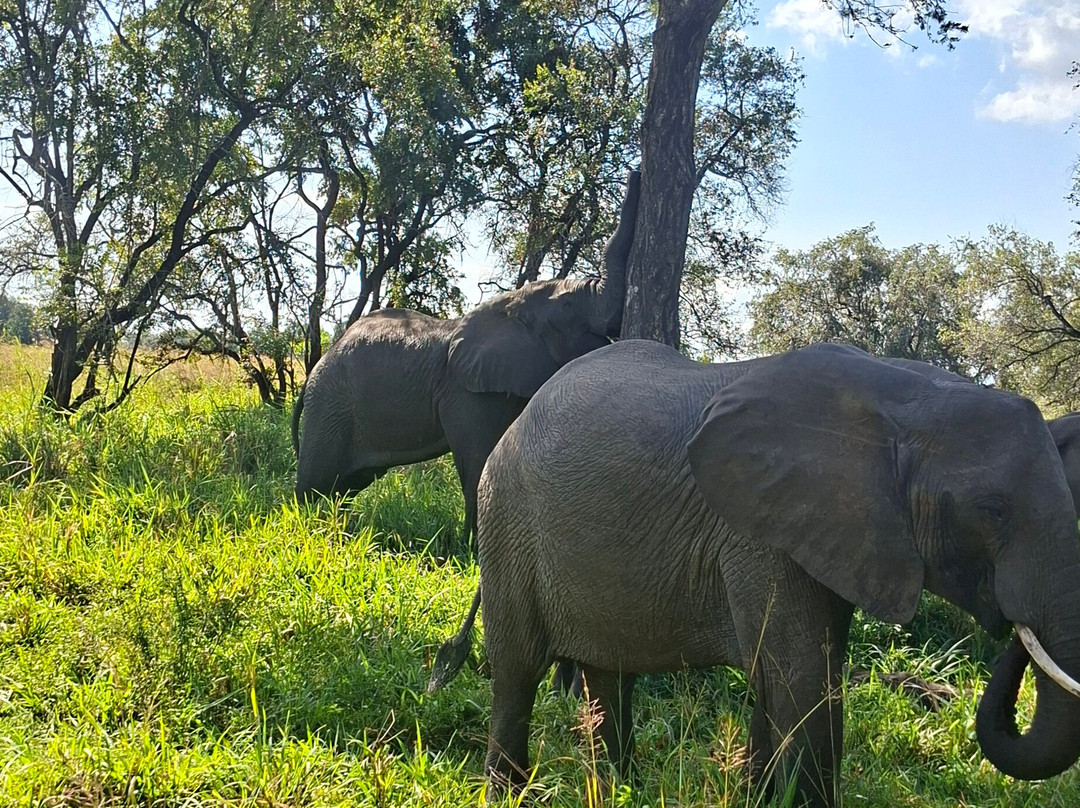 Mikumi National Park-米库米国家公园必去景点