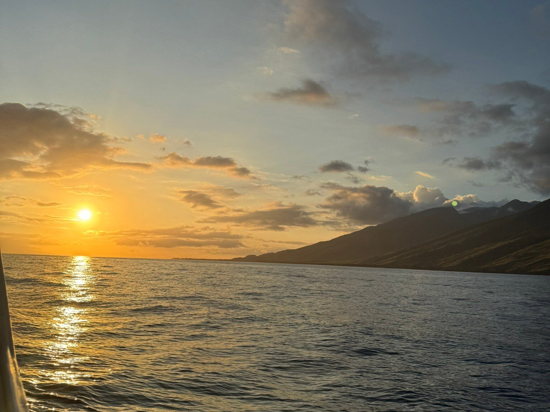 Malolo Molokini Snorkeling Tour-玛阿拉也亚必去景点