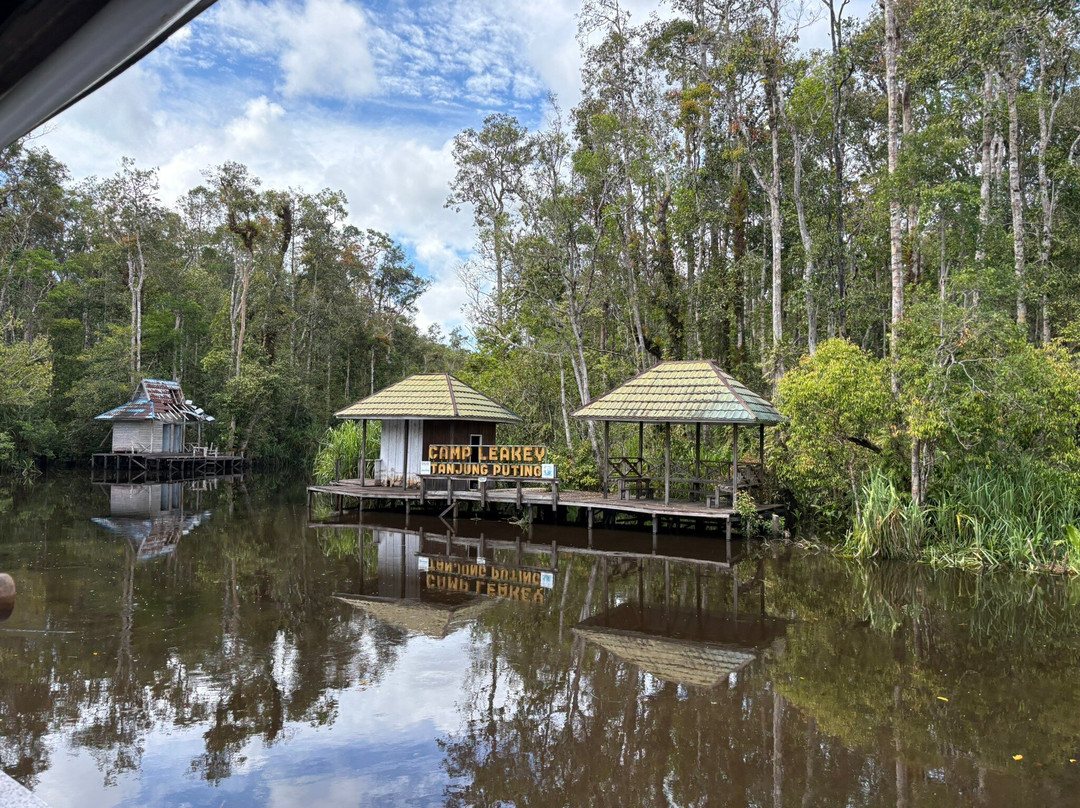 Tanjung Puting Borneo Tour-Pangkalan Bun必去景点