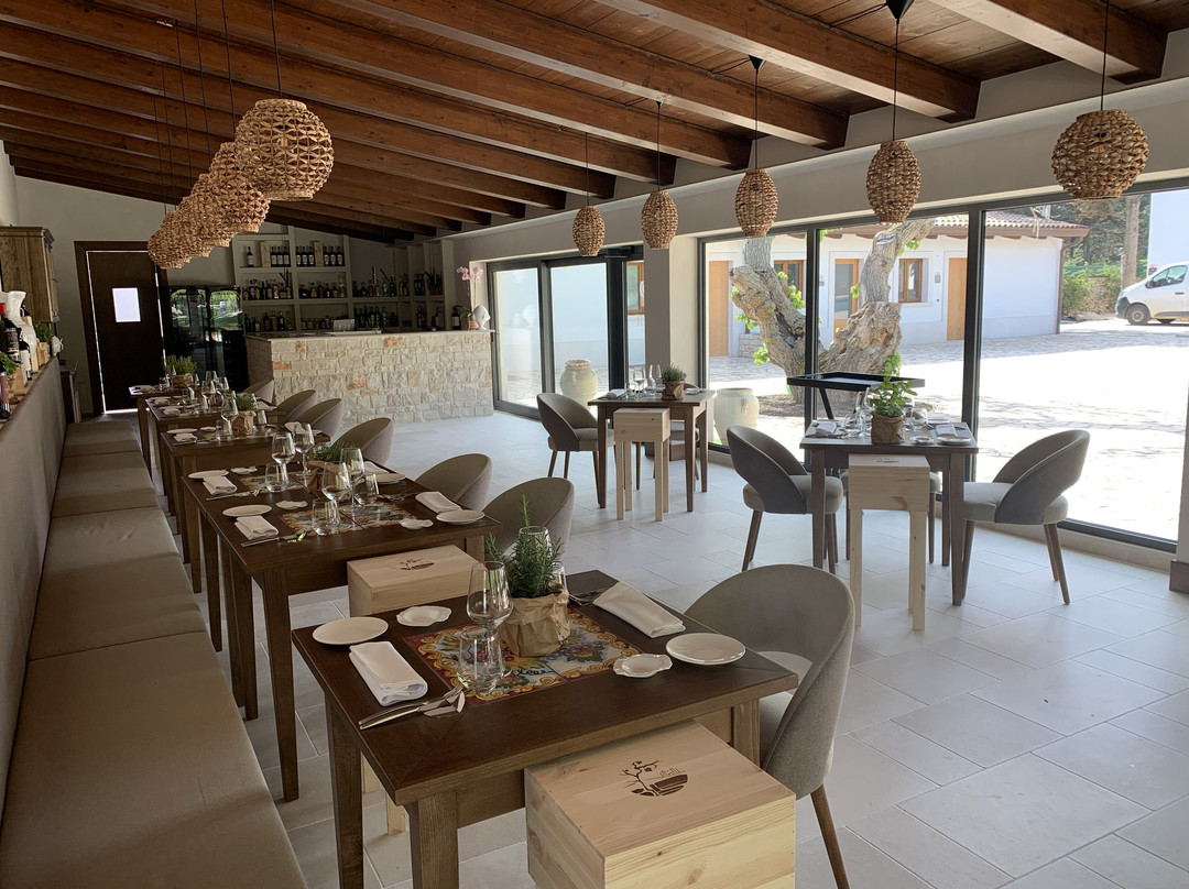 Wine & Resort Le Vigne al Castello