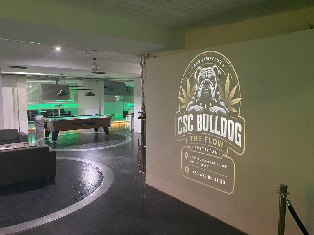 Csc Bulldog The Flow Alicante-罗哈莱斯必去景点