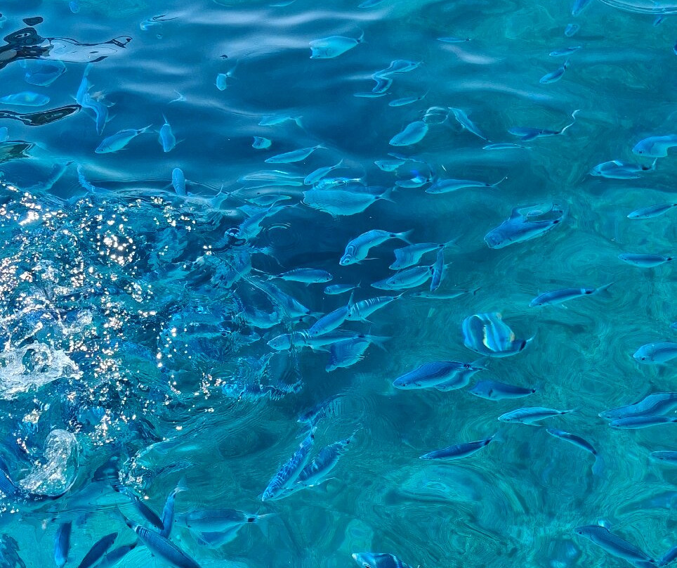 Nefis Travel Zakynthos-提斯里菲必去景点