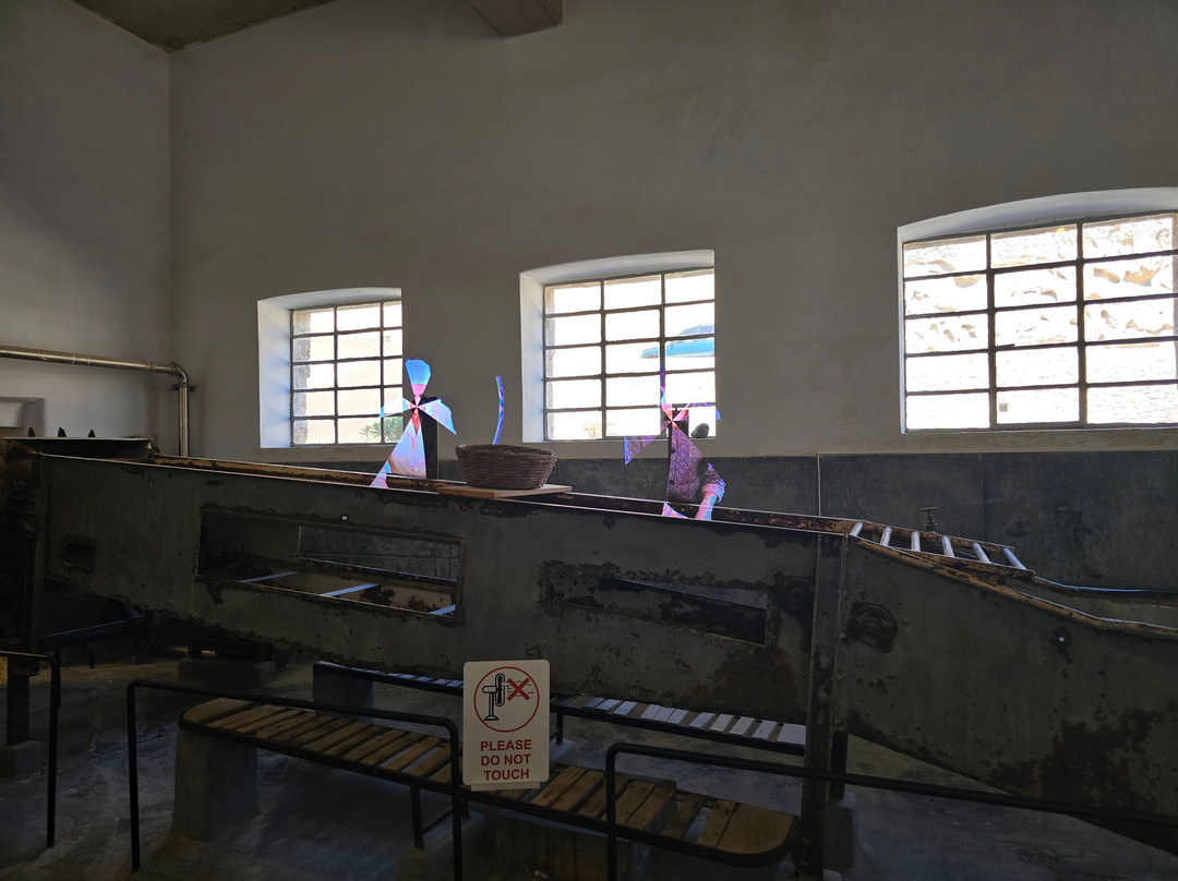Tomato Industrial Museum, D.Nomikos-维查德必去景点