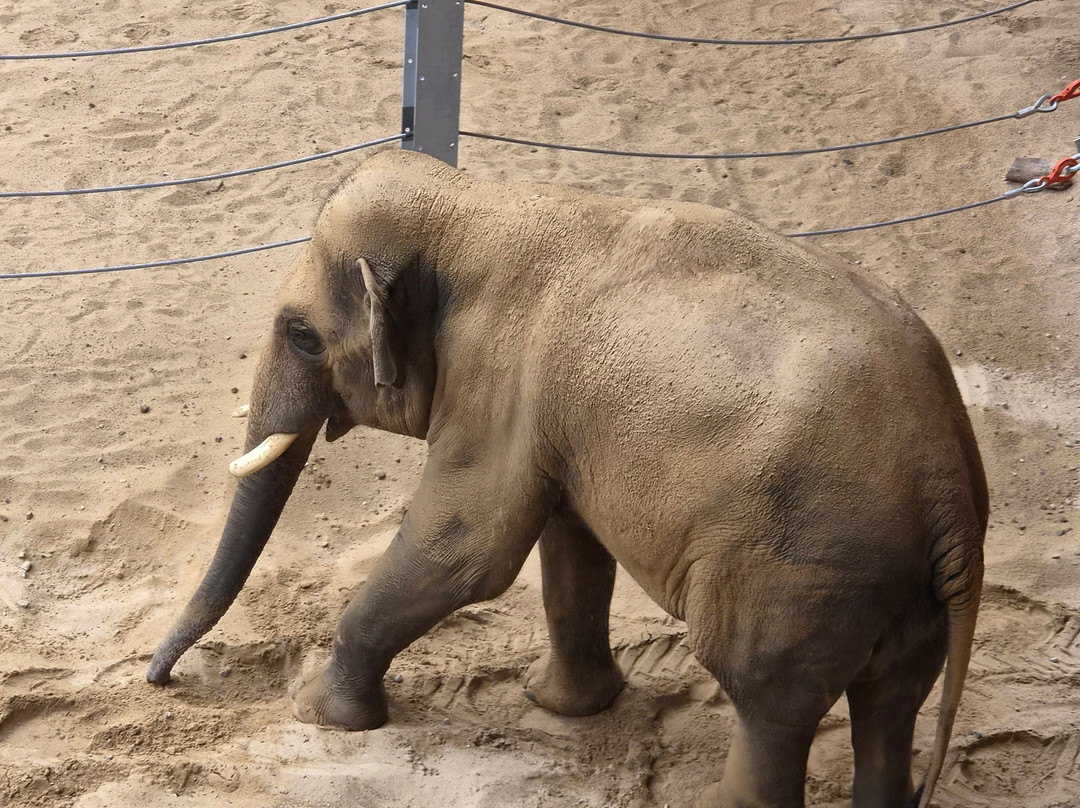 Orientarium Zoo Lodz-罗兹必去景点