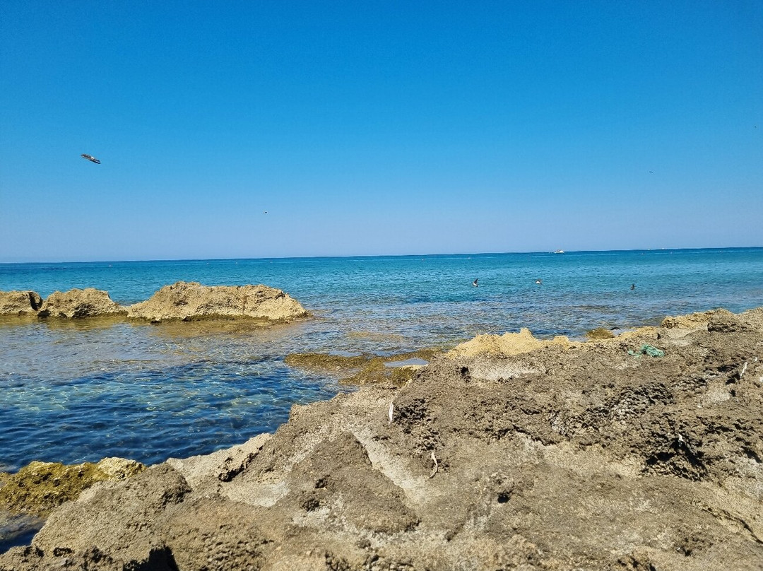 Spiaggia Grande-Acciaroli必去景点