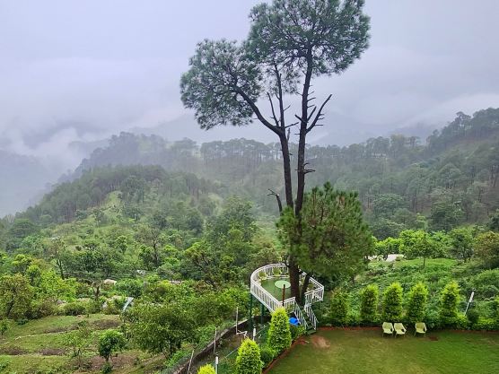 Peaks and Pines Resort-旅行者