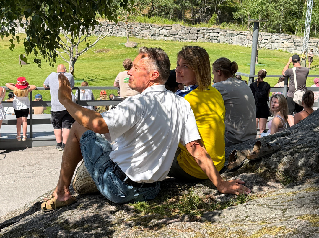Kolmården Zoo-Kolmarden必去景点