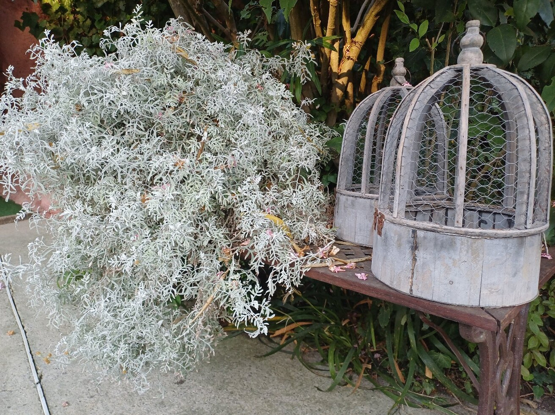 Belafonte Minigolf-Pinarella必去景点