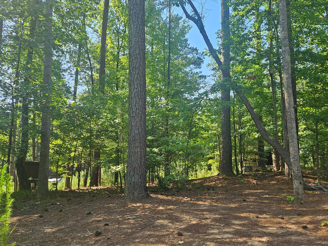 Lake Norman State Park-Troutman必去景点