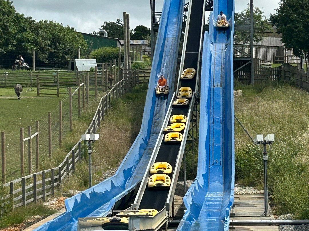 Camel Creek Family Adventure Park-Wadebridge必去景点
