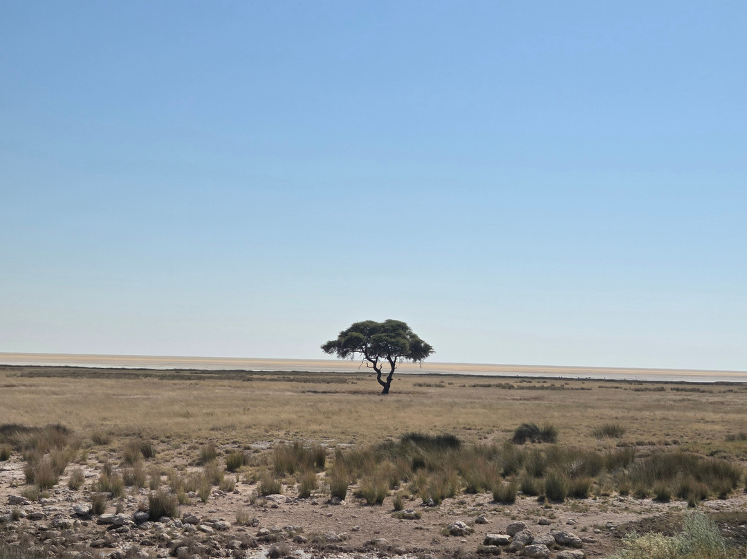 Namibia Tours & Safaris-斯瓦科普蒙德必去景点