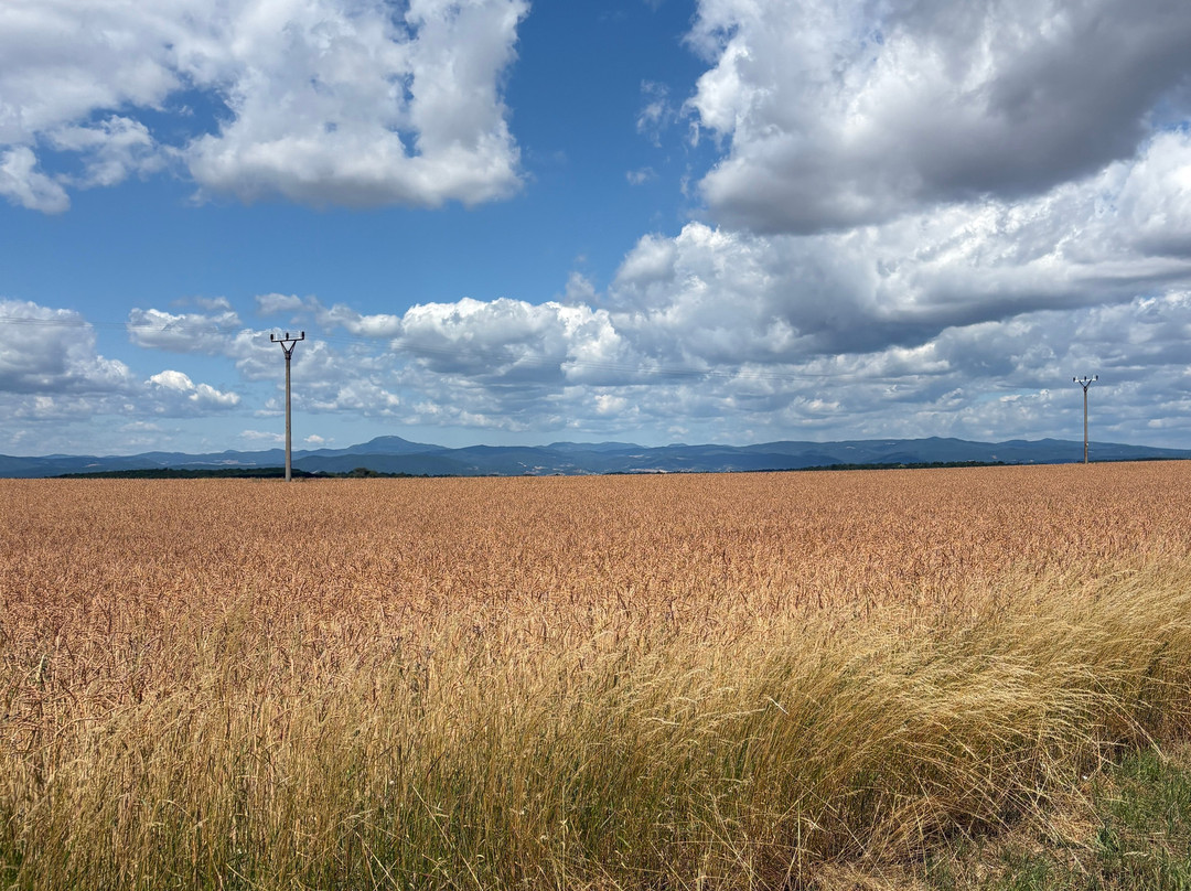 Krupinska Planina-Krupina必去景点