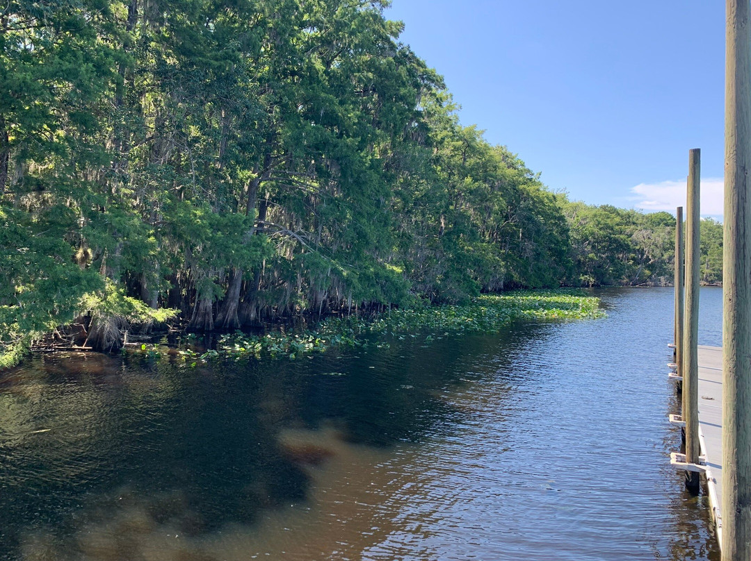 Manatee Springs State Park-Chiefland必去景点