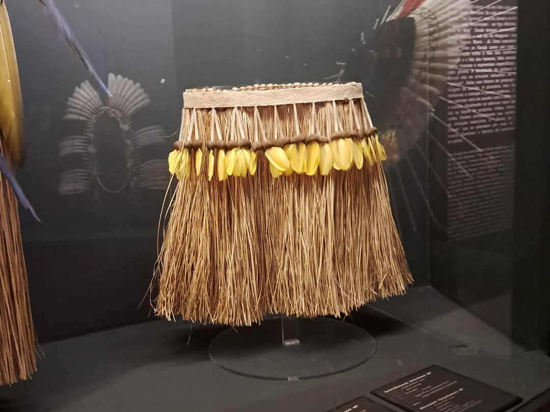 Museu de Arte Indigena-库里提巴必去景点