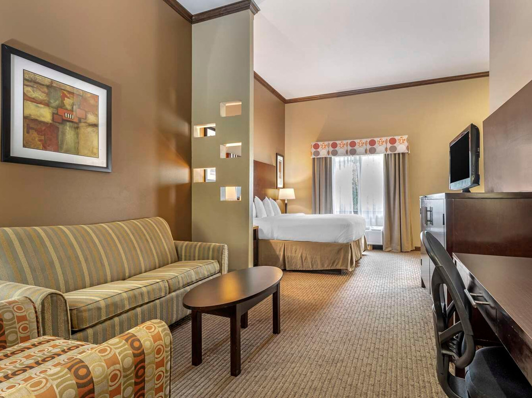 Achille酒店住宿-Best Western Plus Texoma Hotel & Suites