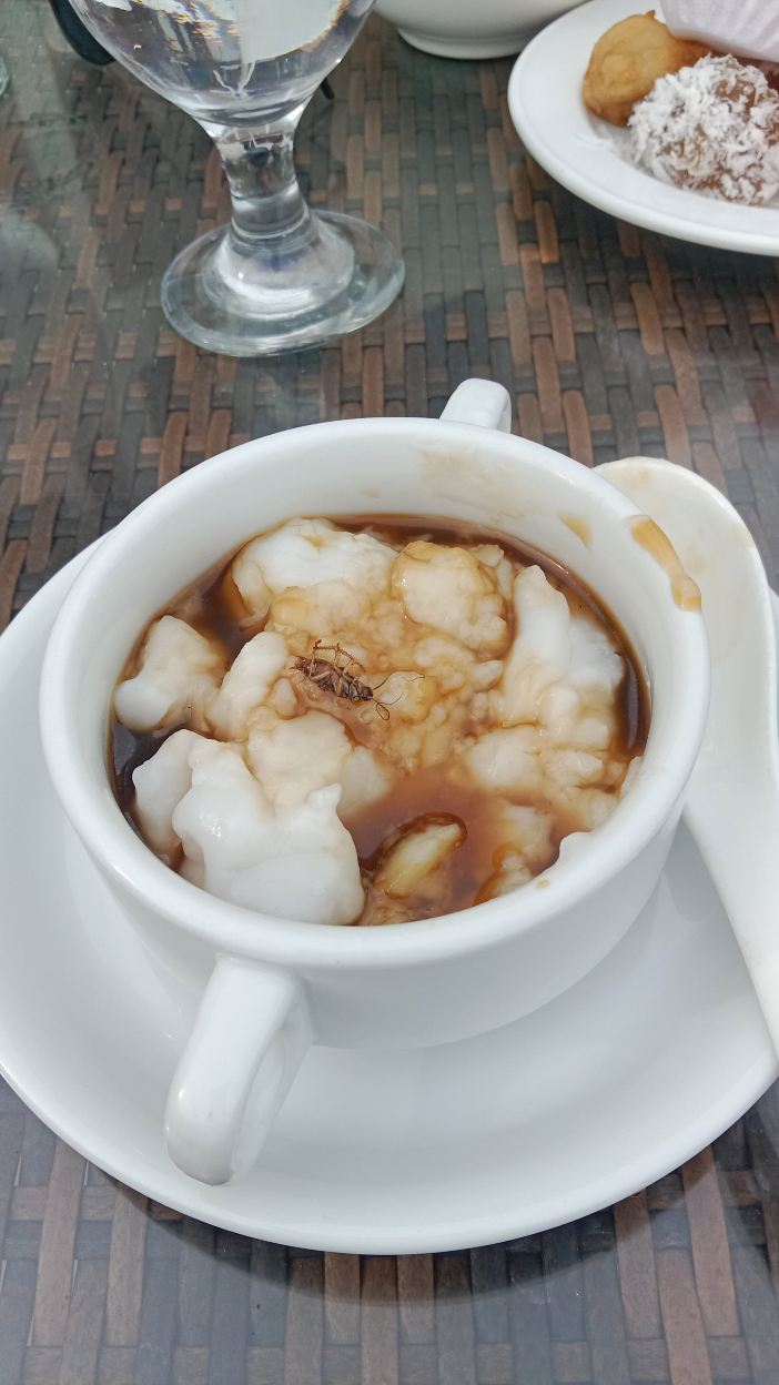 巴拉巴特尼亚加拉酒店-旅行者