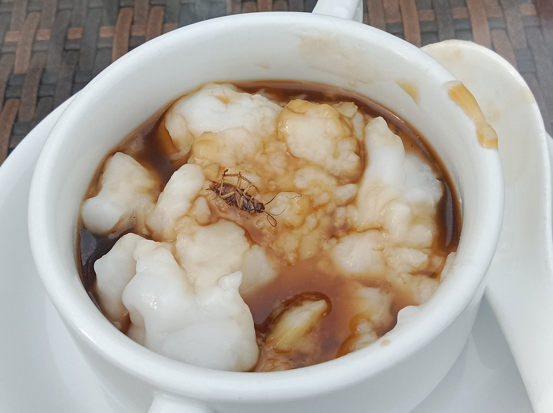 巴拉巴特尼亚加拉酒店主图