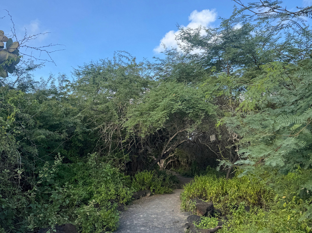 El Túnel del Estero-维里亚米尔港必去景点