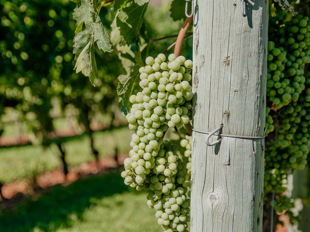 River Stone Estate Winery-Oliver必去景点