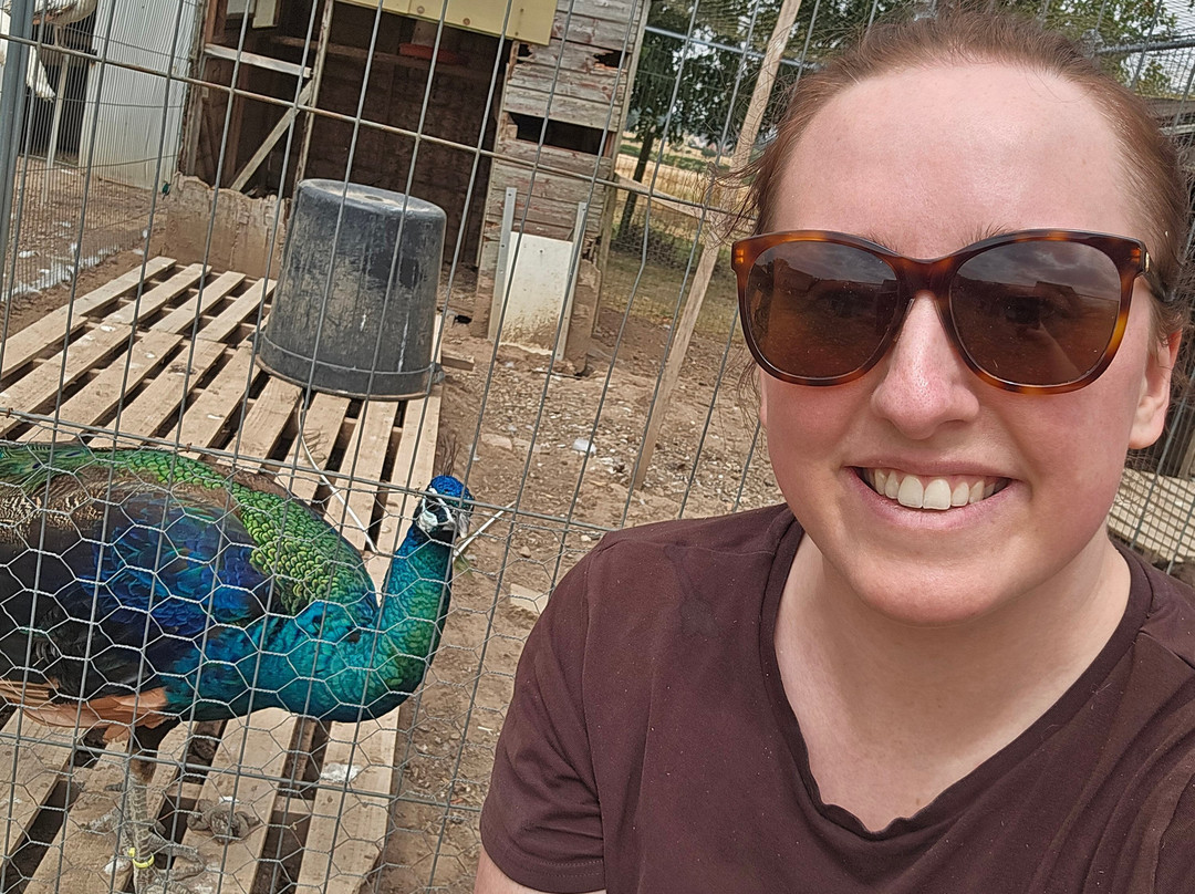 Peacocks Uk-Kempsey必去景点