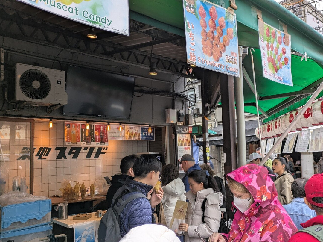 Tsukiji Fish Market-Tsukiji必去景点