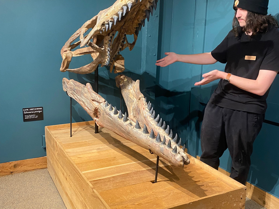 Morrison Natural History Museum-Morrison必去景点