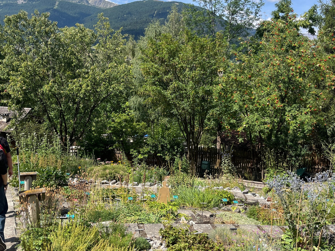 Giardino Botanico Alpino "Rezia"-博尔米奥必去景点