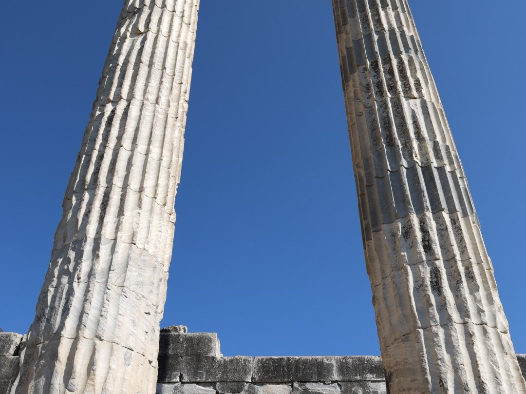 Temple of Apollo-迪迪姆必去景点