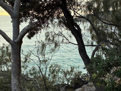 努沙岬国家公园-Noosa Heads必去景点